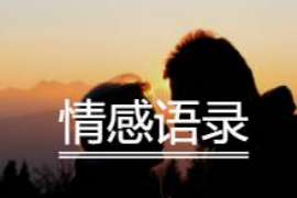 若尔盖侦探公司我成了别人眼中的大龄剩女